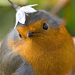 Meet your Posher, Nevaeh